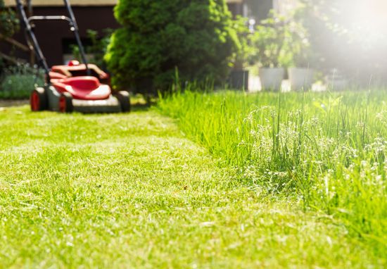 Lawn Mowing